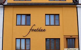 Pension Fontana